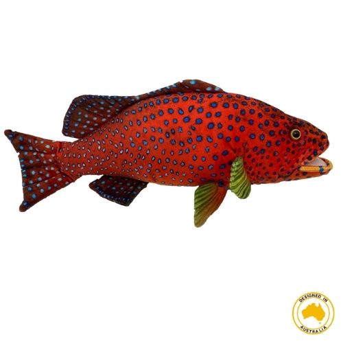 Corine Coral Trout