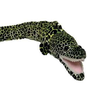 Emilio Eel