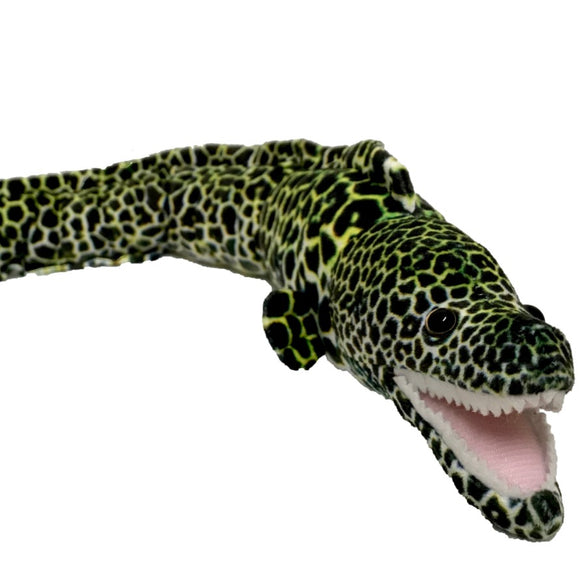 Emilio Eel
