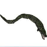 Emilio Eel