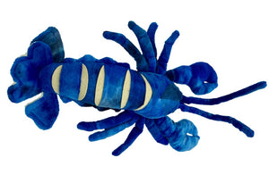 Luke Lobster