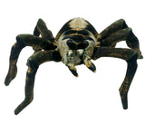 Sebastian Spider