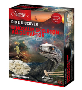 Dinosaur Fossil Kit Velociraptor