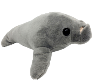 Dugong