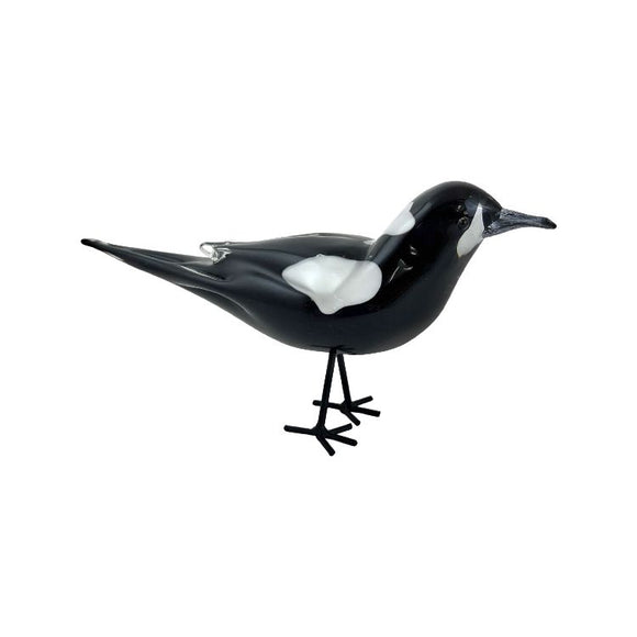 Glass Coloured Magpie