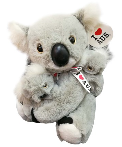 Koala and Baby Plush, I Love Australia