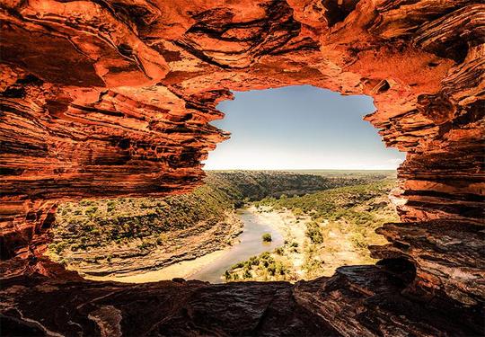 Natures Window 1000 Piece Puzzle