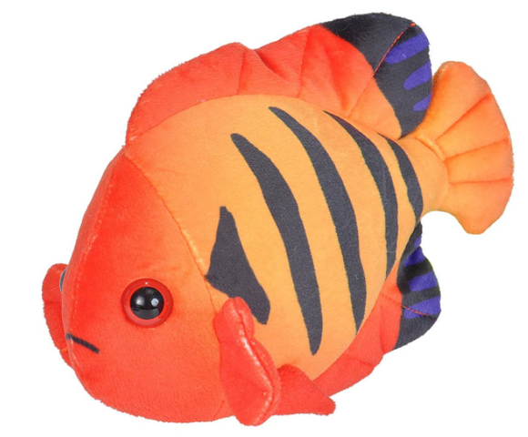 Sea Critters Angelfish Flame