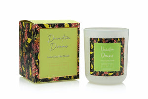 Daintree Dreams 185G Soy Candle