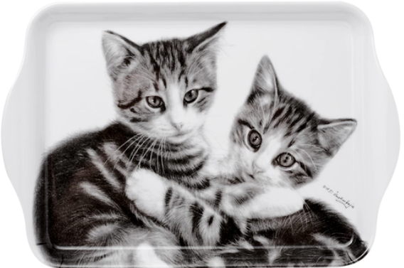 Scatter Tray Feline Friends Cuddling Kittens