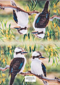 Kookaburra Kitchen Towel