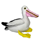 Percival Pelican